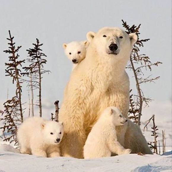 Meet your Posher, Craig - Picture 1 of 1